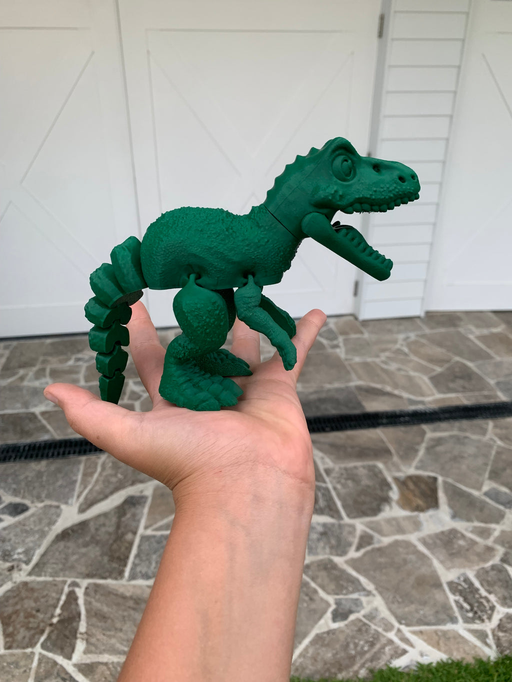 Mega Dinosaur