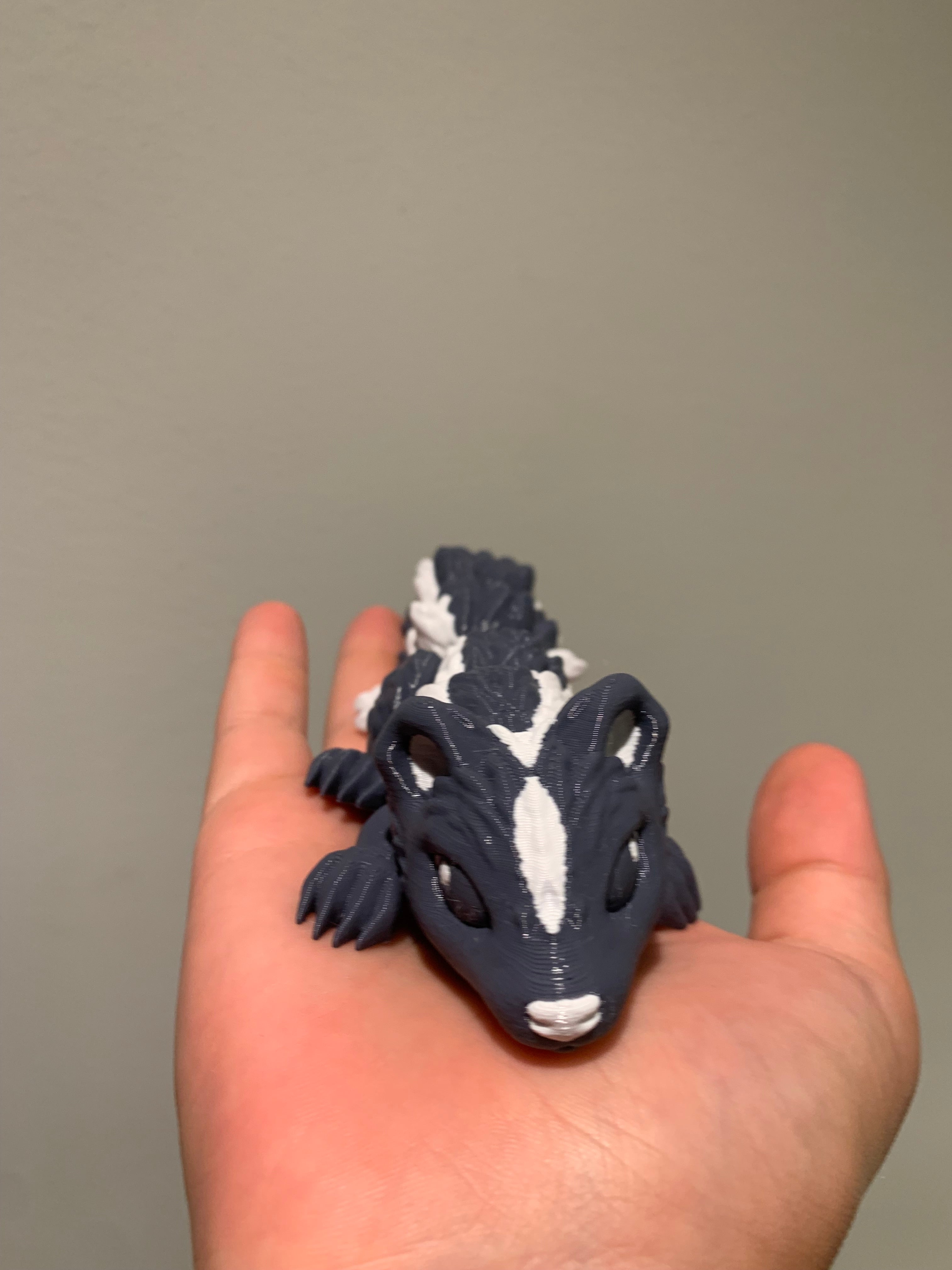 Baby Skunk
